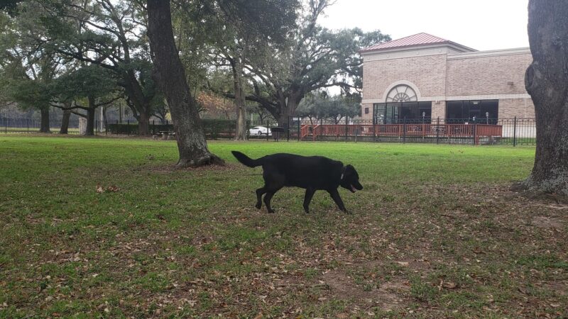 Carolyn H. Wolff Park - Houston, TX