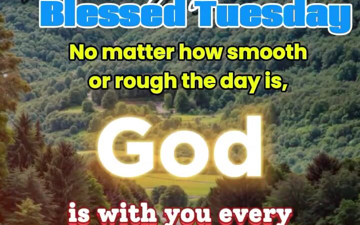 Clinton Park - Houston, TX