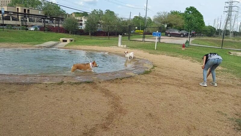 Danny Jackson Family Bark Park - Houston, TX