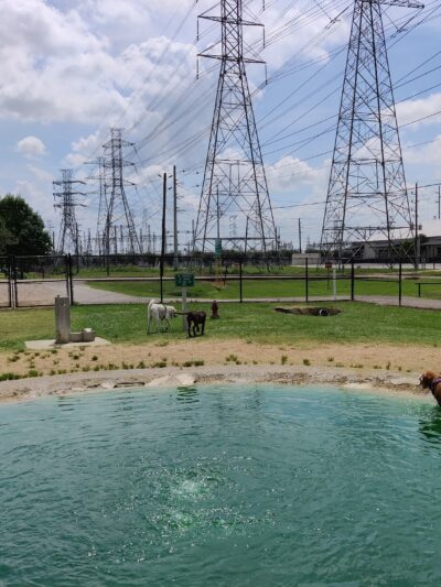 Danny Jackson Family Bark Park - Houston, TX