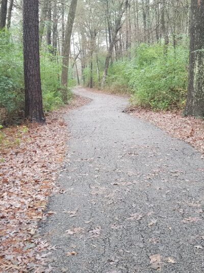 Dixie Farm Road Park - Houston, TX