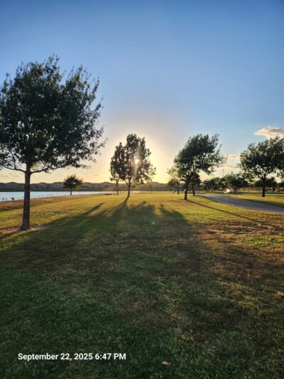 Dog Park Beach - Houston, TX