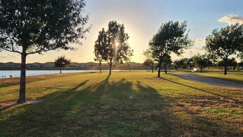 Dog Park Beach - Houston, TX