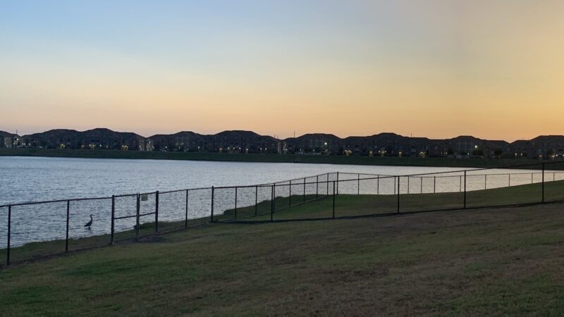 Dog Park Beach - Houston, TX