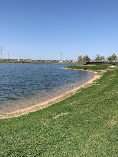 Dog Park Beach - Houston, TX