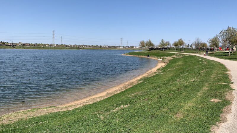 Dog Park Beach - Houston, TX
