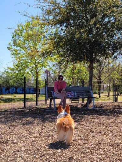 EaDog Park - Houston, TX