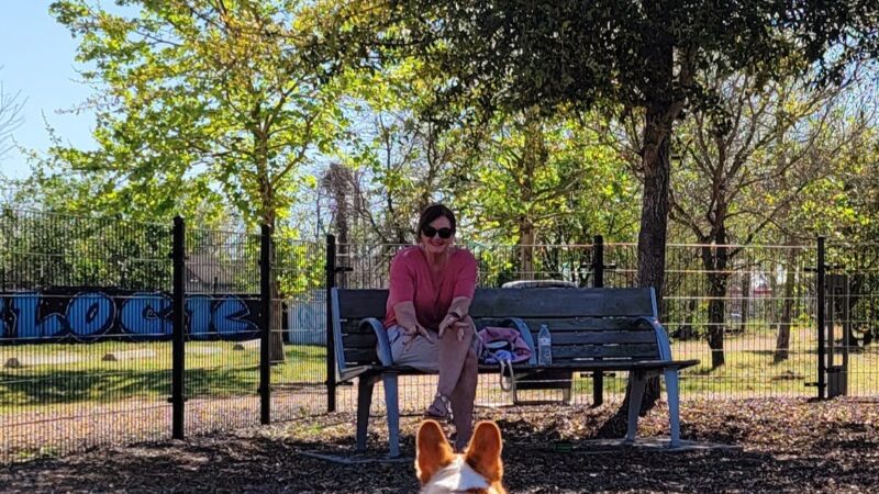 EaDog Park - Houston, TX