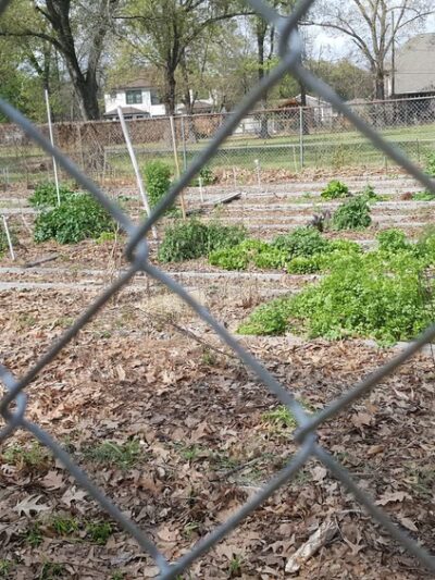 Freed Park - Houston, TX