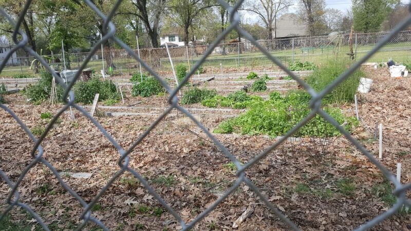 Freed Park - Houston, TX