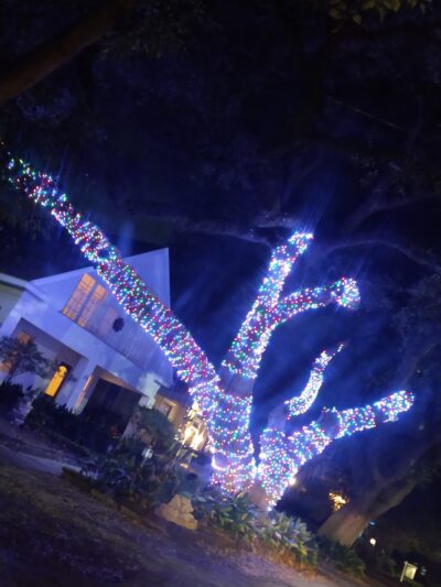 Halbert Park - Houston, TX