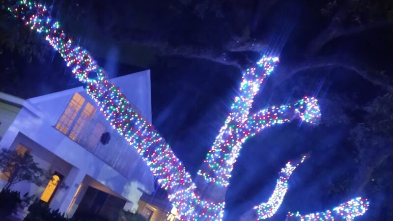 Halbert Park - Houston, TX