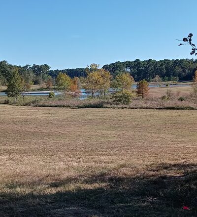 Halbert Park - Houston, TX
