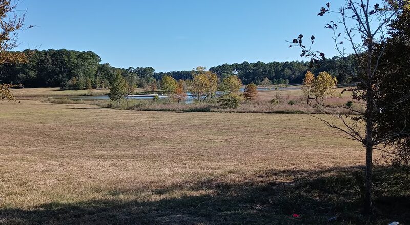 Halbert Park - Houston, TX