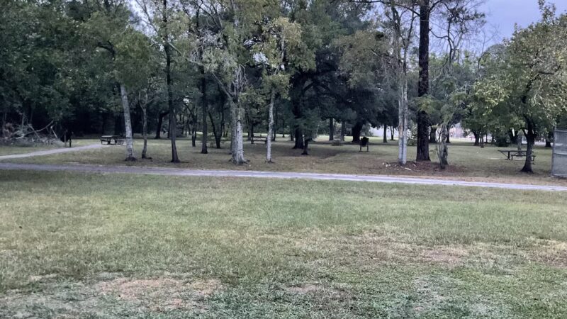 Haviland Park - Houston, TX