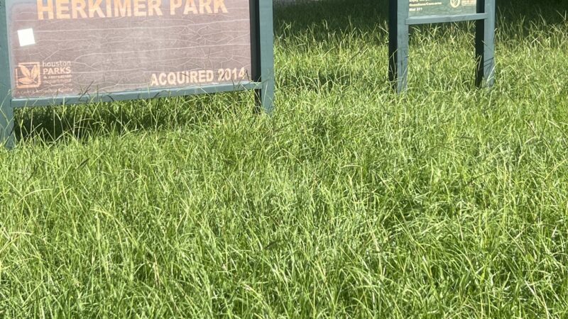 Herkimer Park - Houston, TX