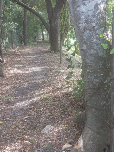 Heron Lake - Houston, TX