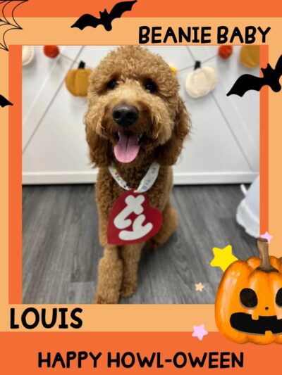 Hounds Town Houston Heights - Houston, TX