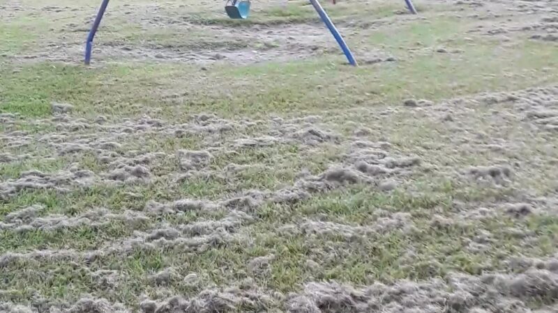 Langwood Park - Houston, TX