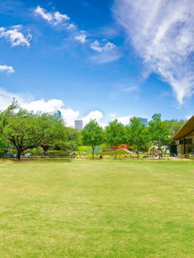 Levy Park - Houston, TX