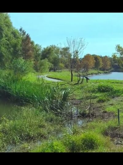 Mason Park - Houston, TX