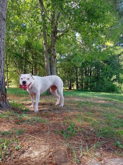 Mason Park #4 - Houston, TX