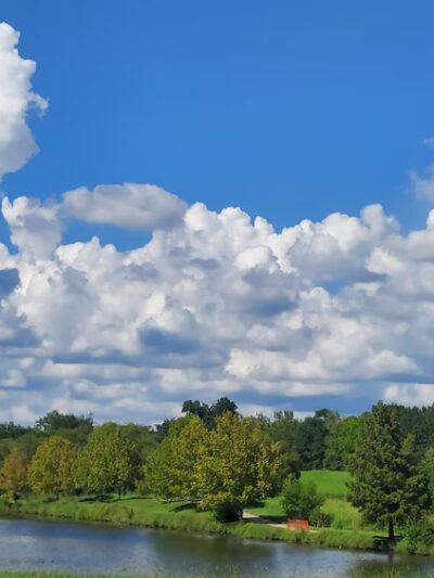 Mason Park #4 - Houston, TX