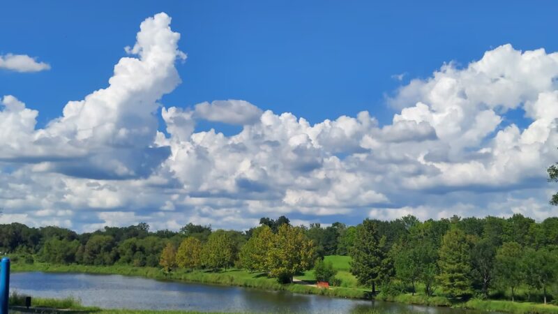 Mason Park #4 - Houston, TX