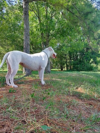 Mason Park #4 - Houston, TX