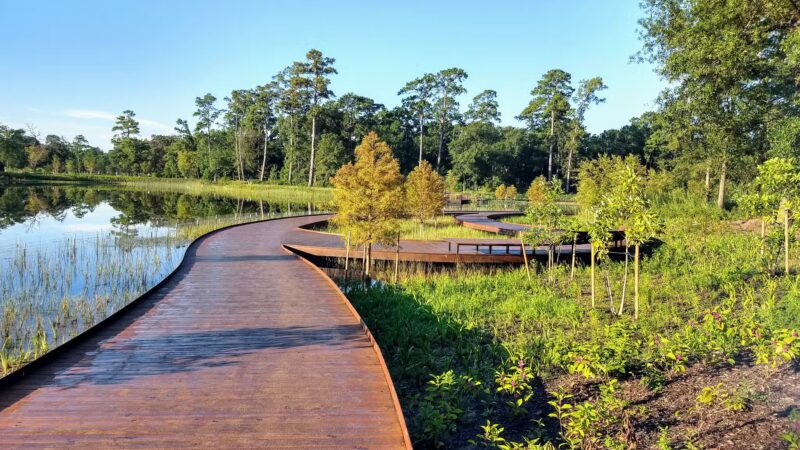 Memorial Park - Houston, TX