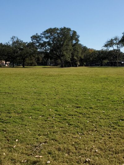 Menil green space - Houston, TX
