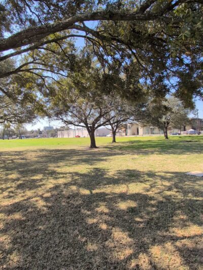 Menil green space - Houston, TX