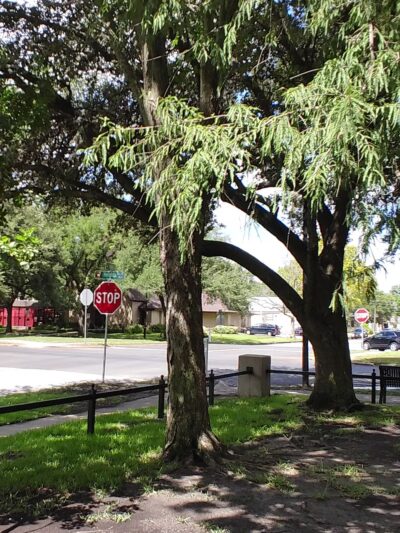 Milroy Park - Houston, TX