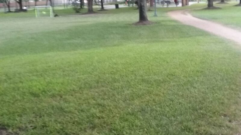 Mission Bend Community Park - Houston, TX
