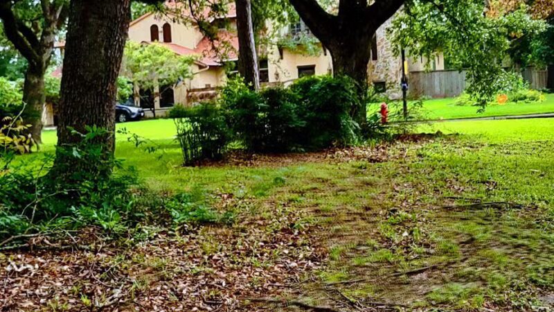 Moritz Pech Family Park - Houston, TX