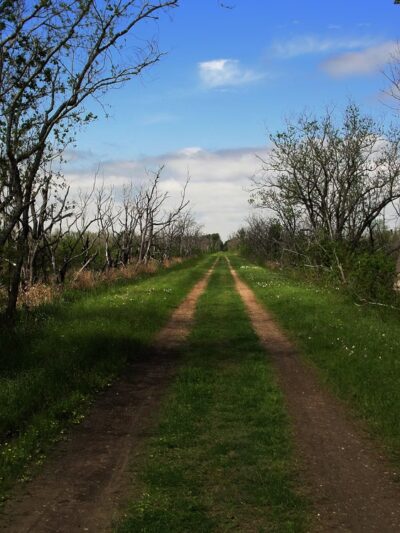 Noble Road Trail Parking Lot - Houston, TX