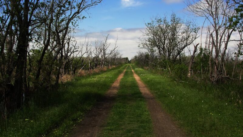 Noble Road Trail Parking Lot - Houston, TX