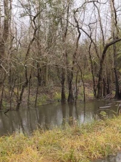 Noble Road Trail Parking Lot - Houston, TX