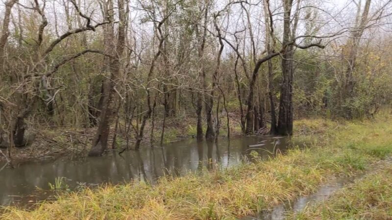 Noble Road Trail Parking Lot - Houston, TX