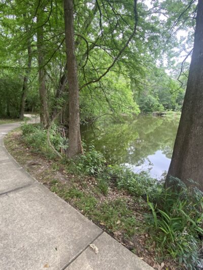 Parque lindo - Houston, TX
