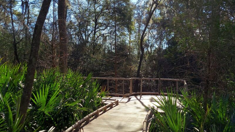 Ponderosa Walking Park - Houston, TX