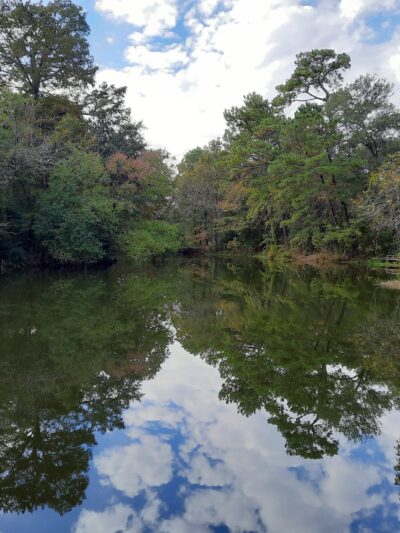 Ponderosa Walking Park - Houston, TX