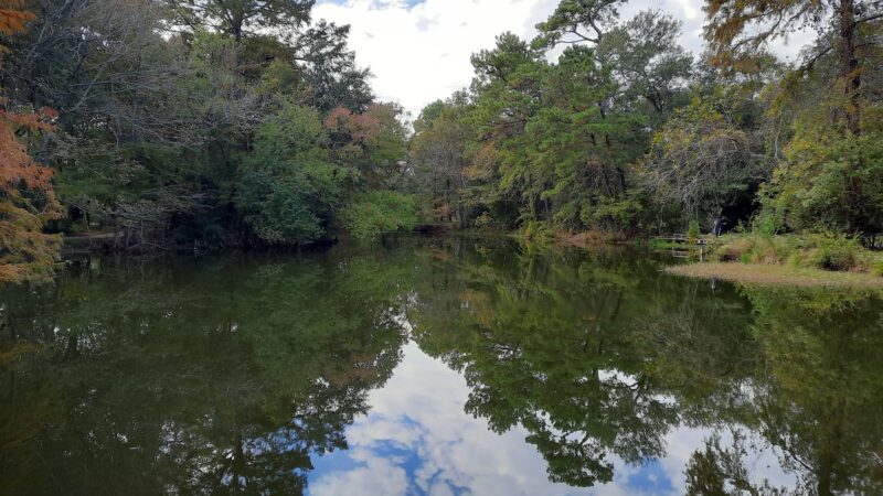 Ponderosa Walking Park - Houston, TX