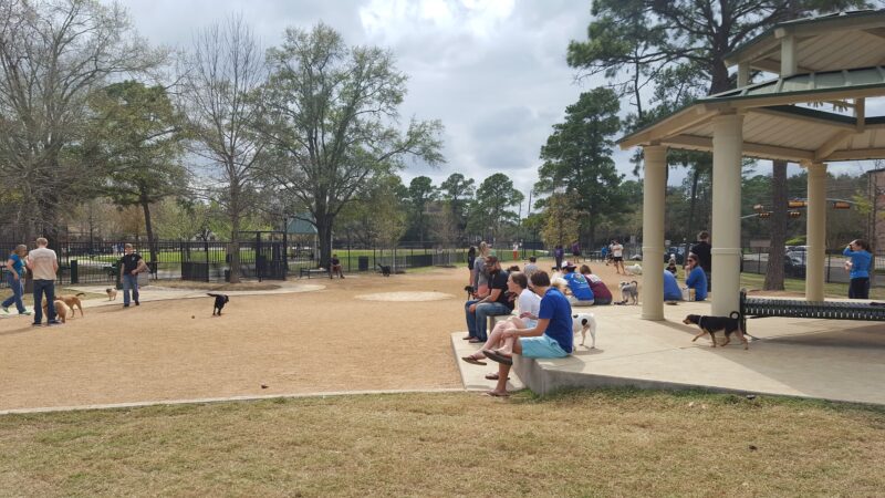 Tanglewood Park - Houston, TX