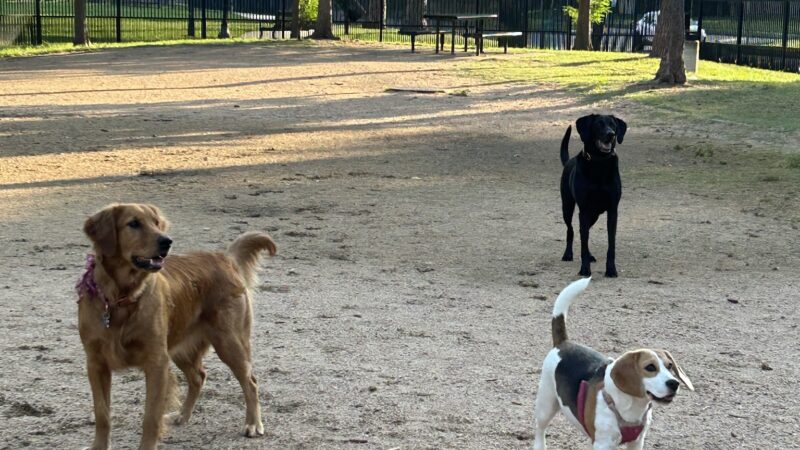 Tanglewood Park - Houston, TX