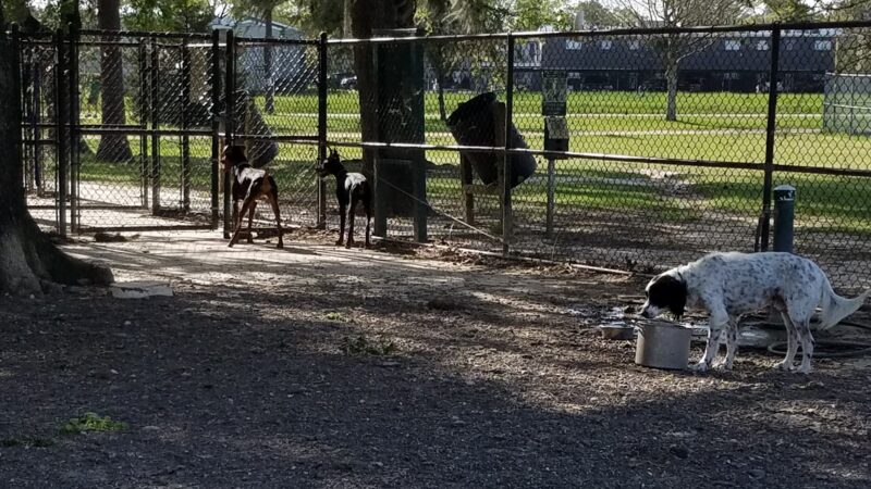 TC Jester Dog Park - Houston, TX