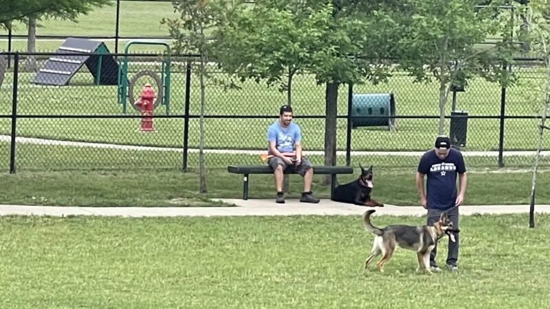 Westwillow Dog Park - Houston, TX
