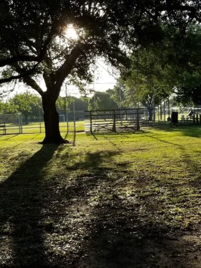 Willow Park - Houston, TX