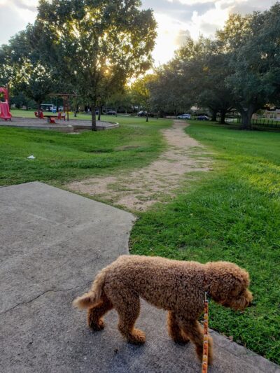 Willow Park - Houston, TX