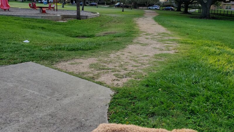 Willow Park - Houston, TX